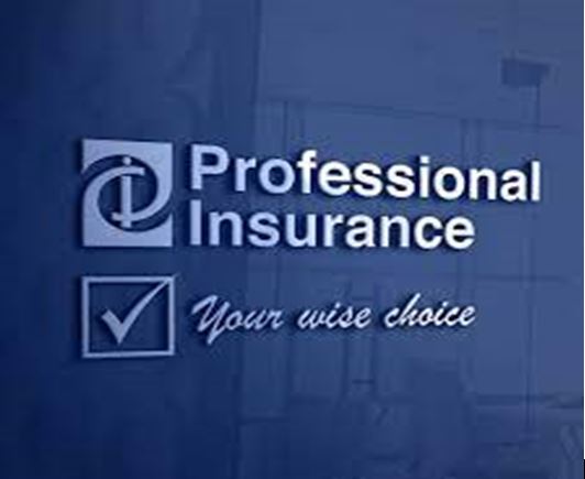 Professional Insurance